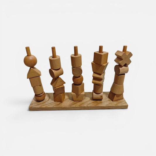 Montessori Sorting Toy