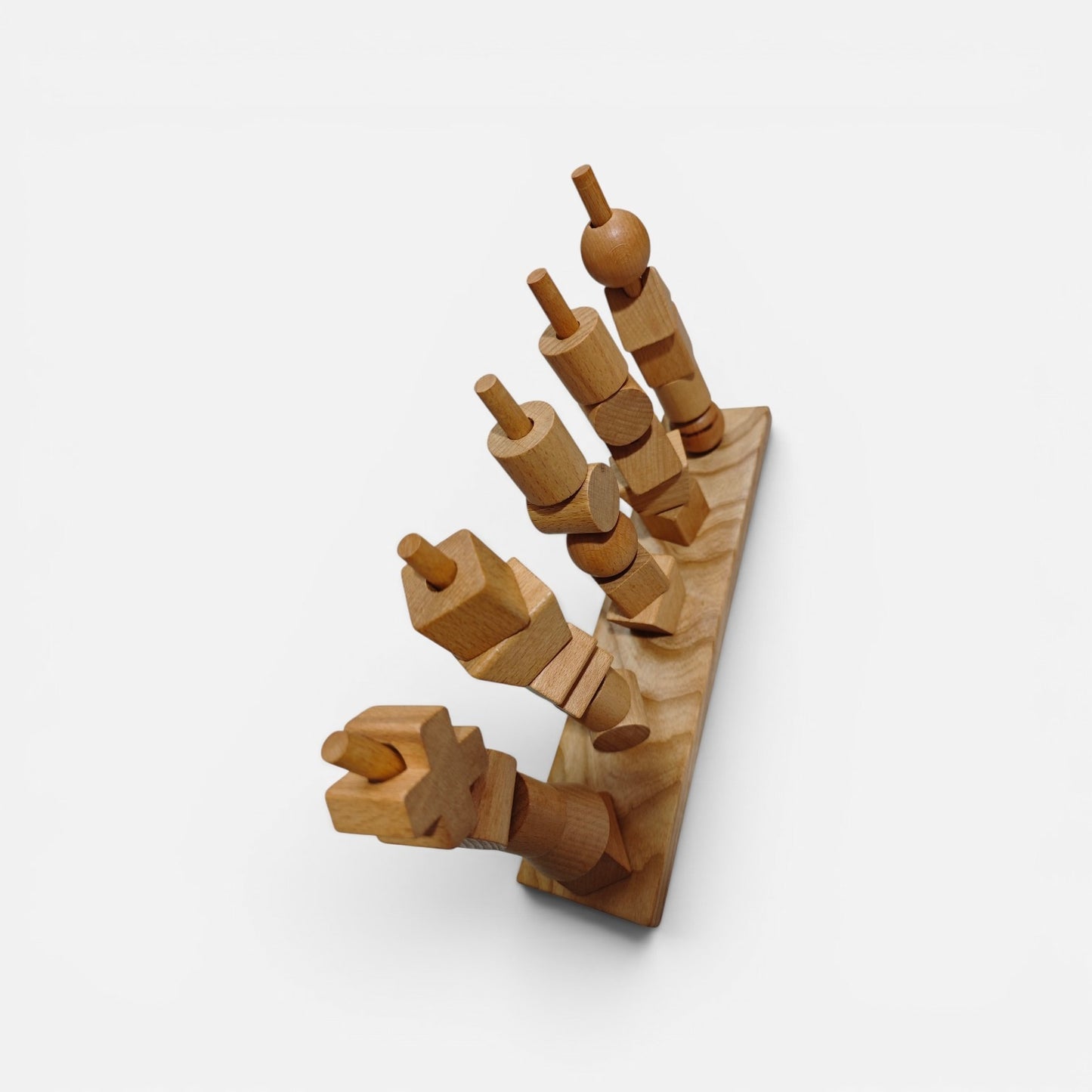 Montessori Sorting Toy